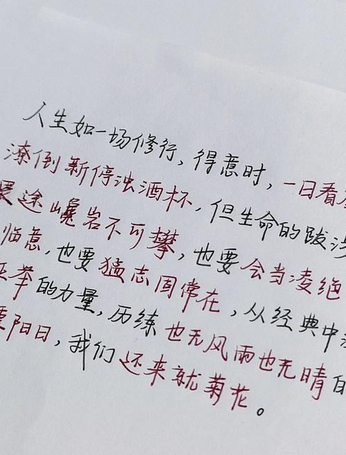 诗歌人生是什么,人生是一首什么诗-图2 诗歌人生是什么,人生是一首什么诗-图2