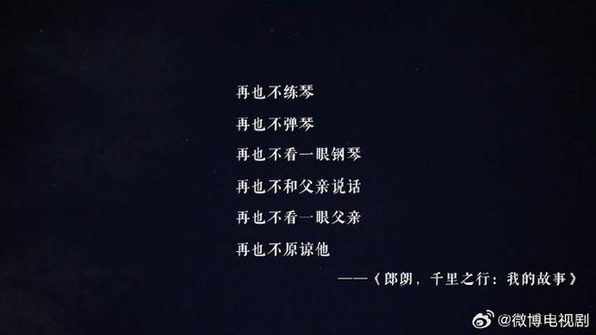 郎郎名言，郎朗的名言-图2