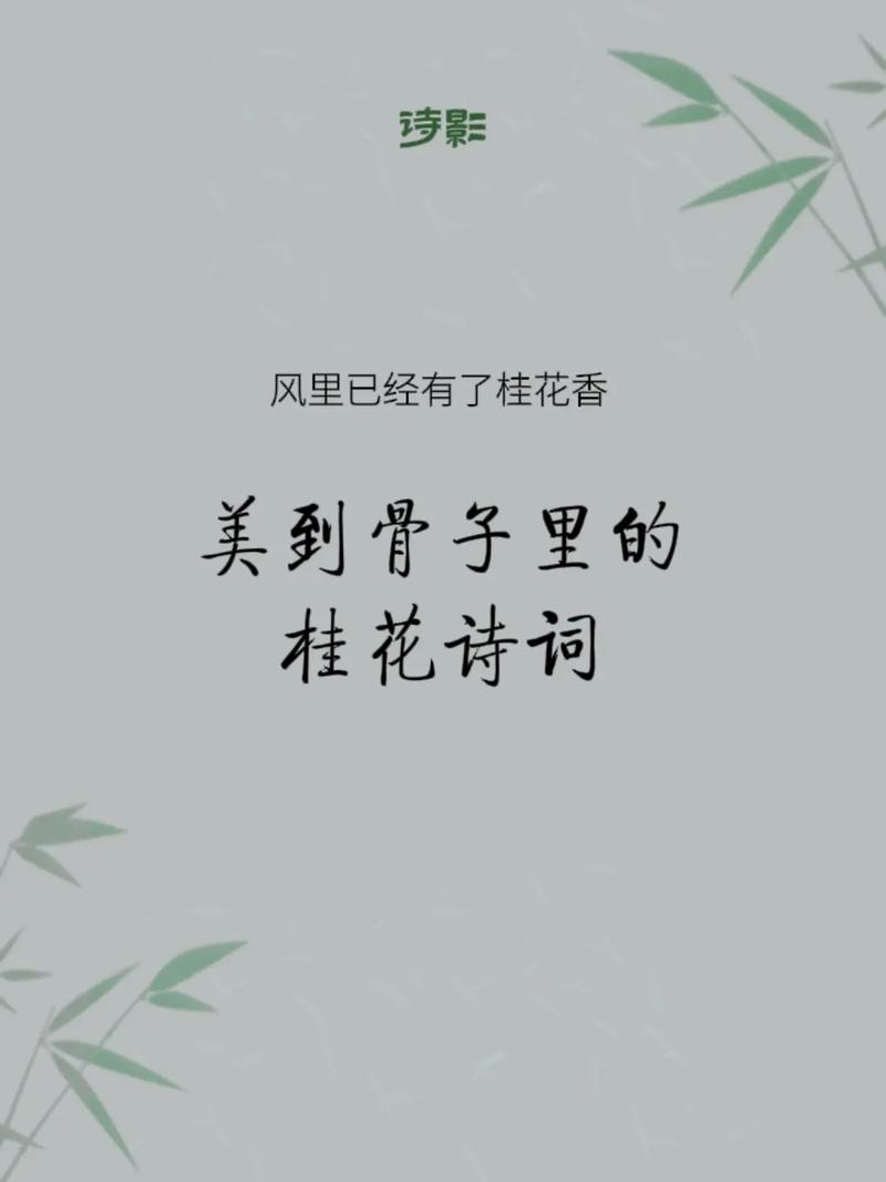 写桂花的诗歌,写桂花的诗歌自创-图2 写桂花的诗歌,写桂花的诗歌自创-图2