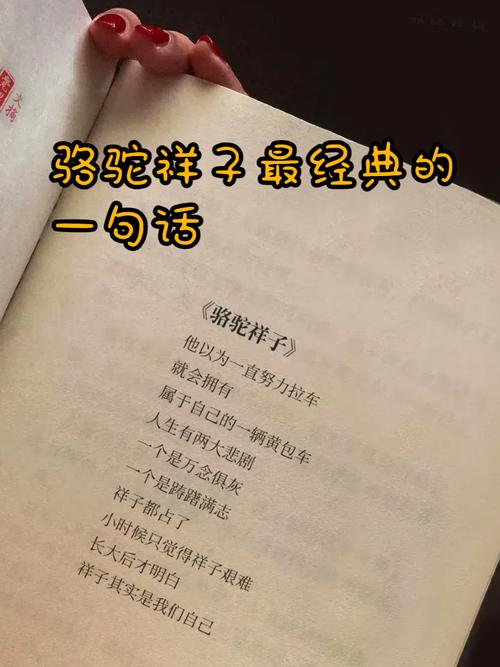 骆驼祥子的诗歌-图2 骆驼祥子的诗歌-图2