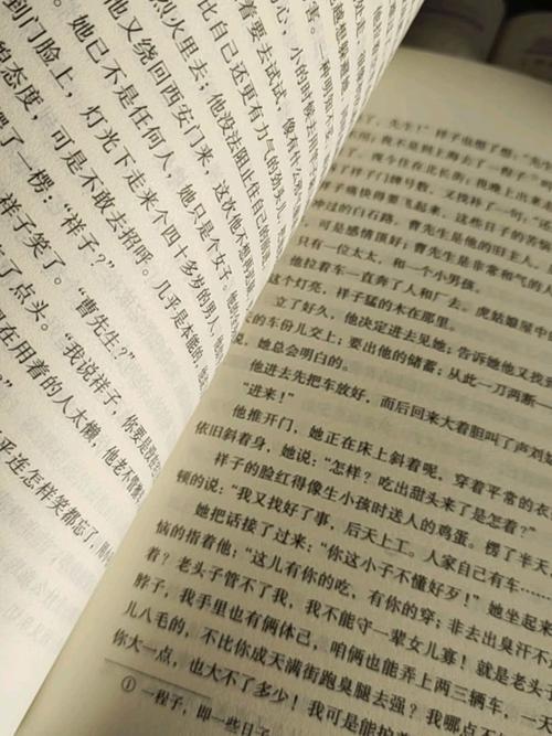 骆驼祥子的诗歌-图1 骆驼祥子的诗歌-图1