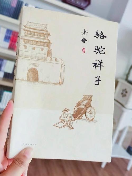 骆驼祥子的诗歌-图3 骆驼祥子的诗歌-图3