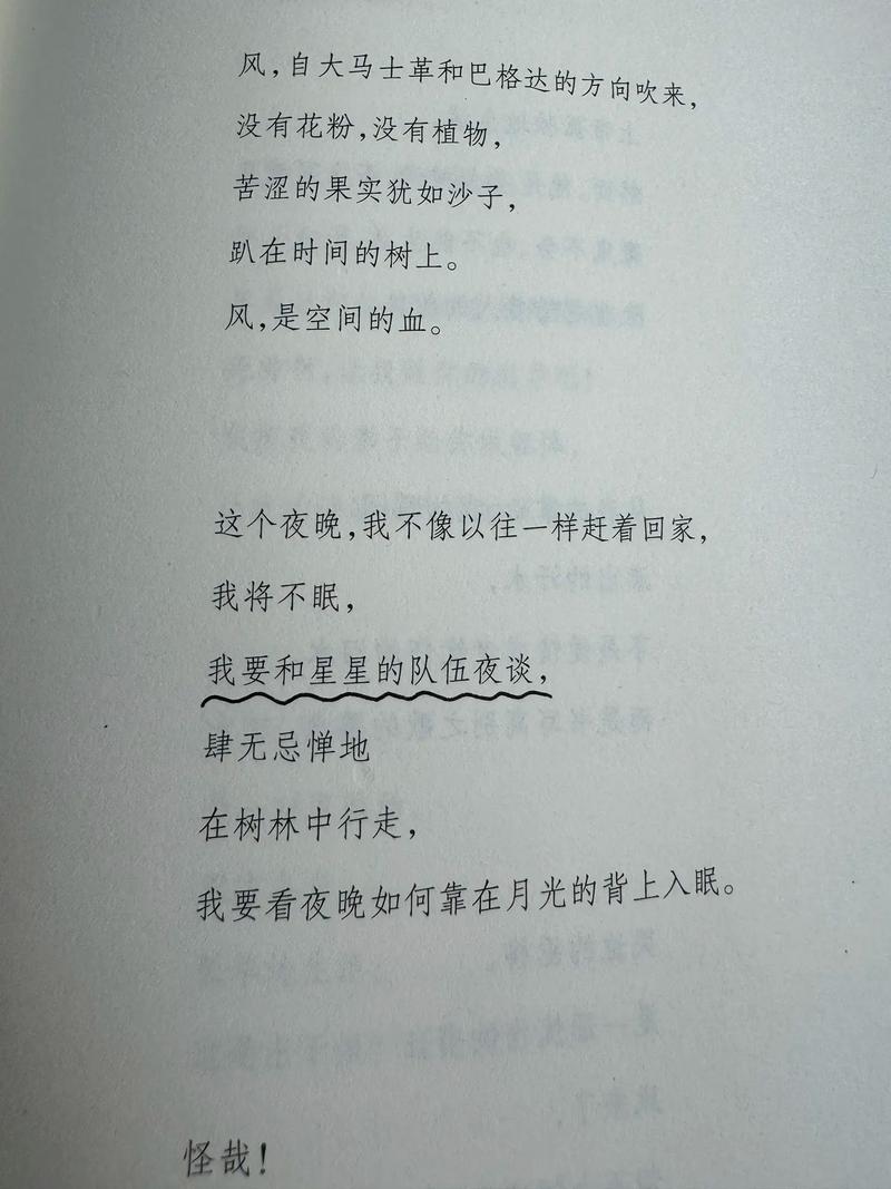 写诗歌的书-图2