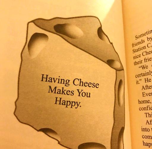 奶酪英语名言,蕴含什么人生智慧?-图2 奶酪英语名言,蕴含什么人生智慧?-图2