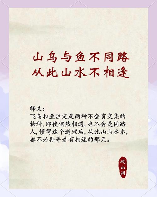 飞鸟与鱼,何以跨越天地相望?-图2 飞鸟与鱼,何以跨越天地相望?-图2