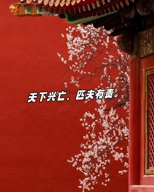 红色名言语录,红色名言语录大全-图1 红色名言语录,红色名言语录大全-图1