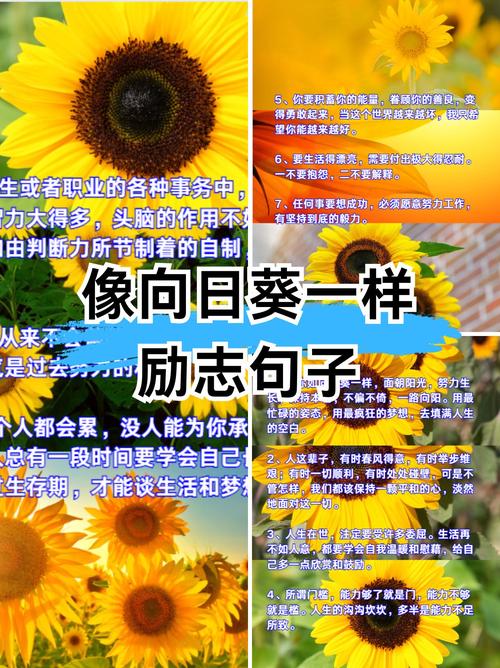 志向的名言,志向的名言警句-图2 志向的名言,志向的名言警句-图2