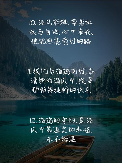 关于海鸥的名言,关于海鸥的名言警句-图1 关于海鸥的名言,关于海鸥的名言警句-图1