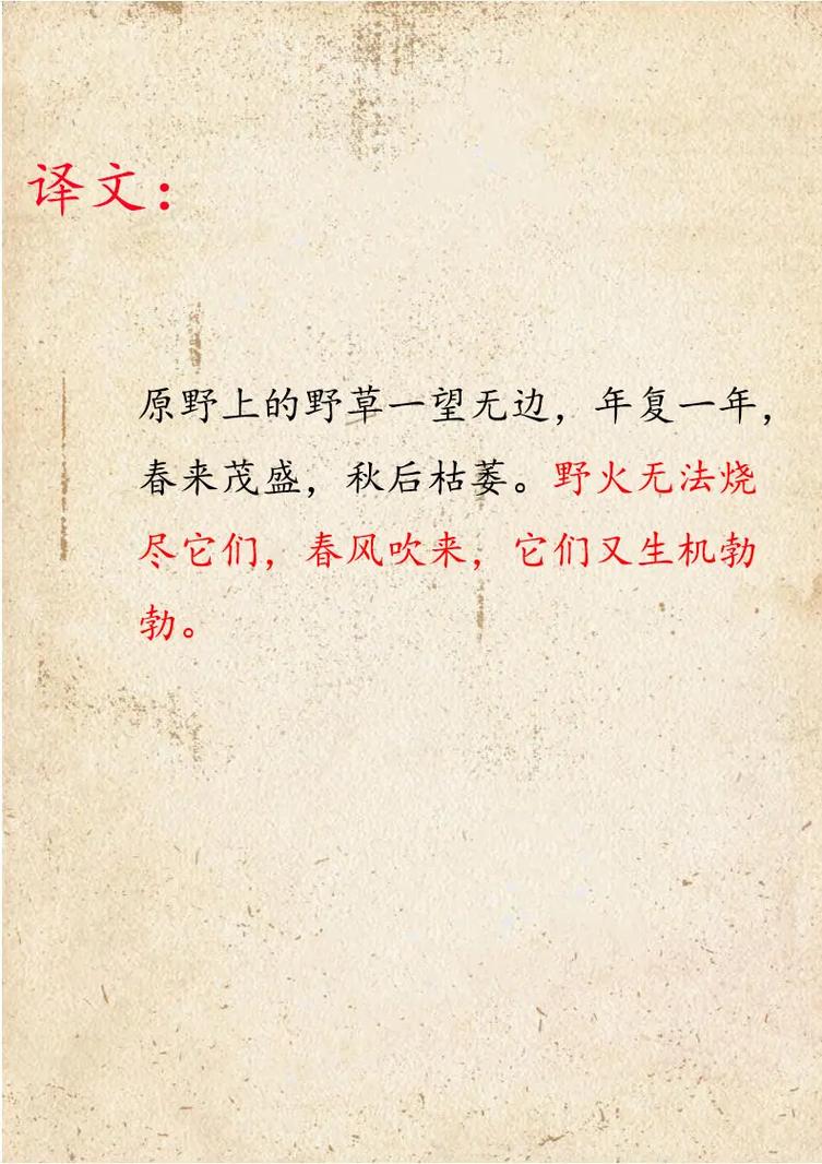 野味诗歌,野味诗句-图1 野味诗歌,野味诗句-图1