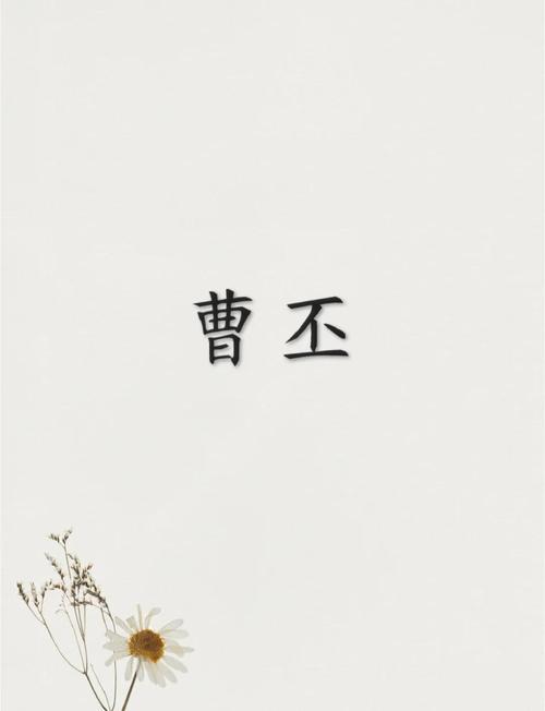 曹丕诗歌，曹丕诗歌风格-图3