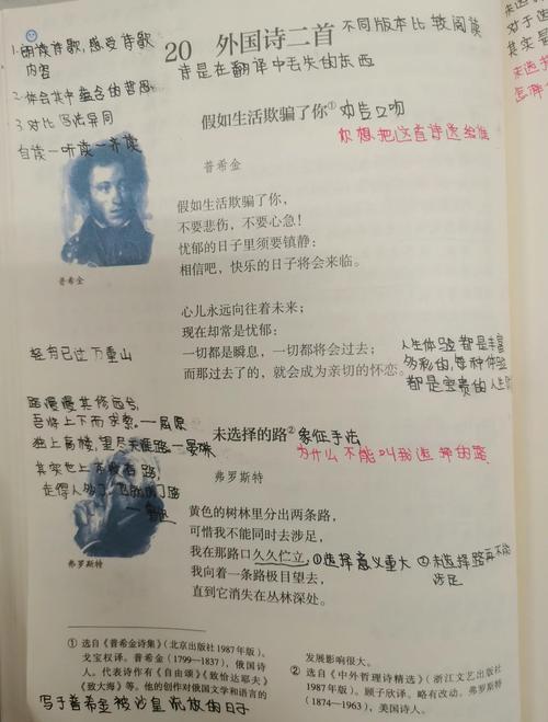 如何分析外国诗歌,如何分析外国诗歌的特点-图3 如何分析外国诗歌,如何分析外国诗歌的特点-图3