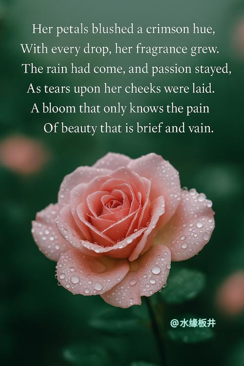 rain诗歌,rain诗歌原文-图3 rain诗歌,rain诗歌原文-图3