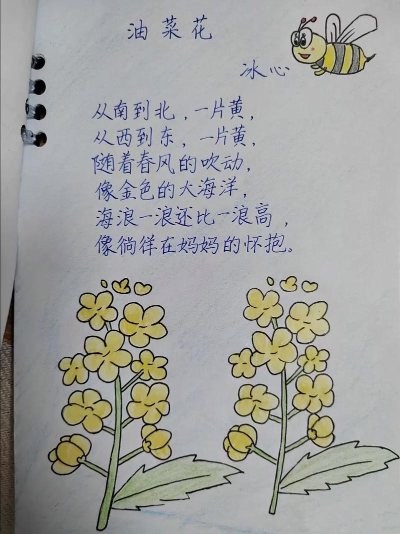 描写的现代诗歌,描写的现代诗歌植物-图1 描写的现代诗歌,描写的现代诗歌植物-图1