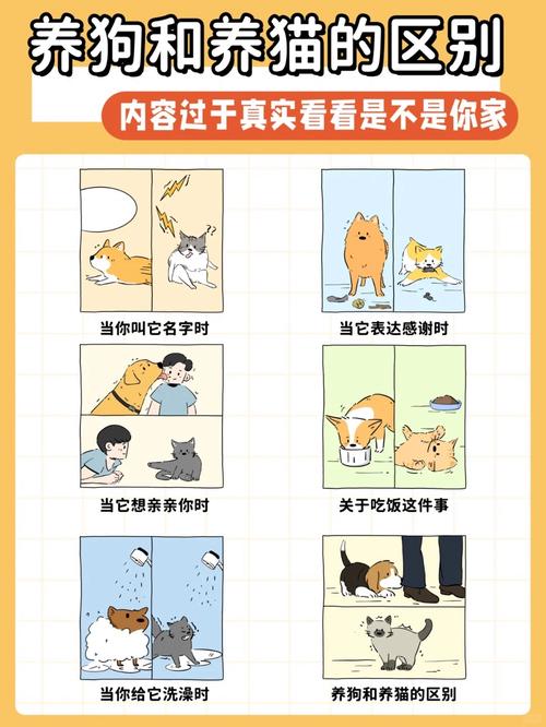 猪猫狗名言,猫猪狗与什么有关-图1 猪猫狗名言,猫猪狗与什么有关-图1