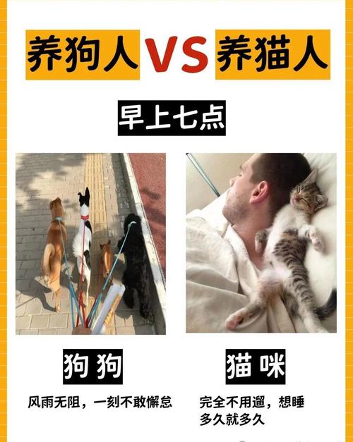 猪猫狗名言,猫猪狗与什么有关-图3 猪猫狗名言,猫猪狗与什么有关-图3