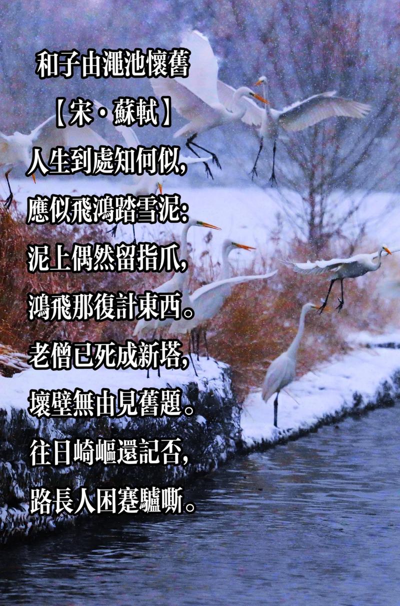 老照片里藏着怎样的诗歌？-图2