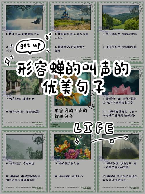 蝉声里藏着多少被赞美的秘密？-图1