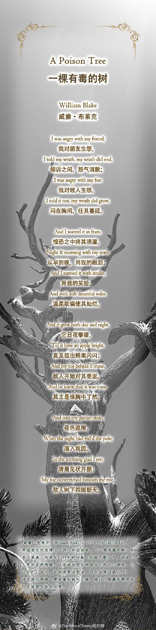 诗歌主义究竟指向何方?-图1 诗歌主义究竟指向何方?-图1