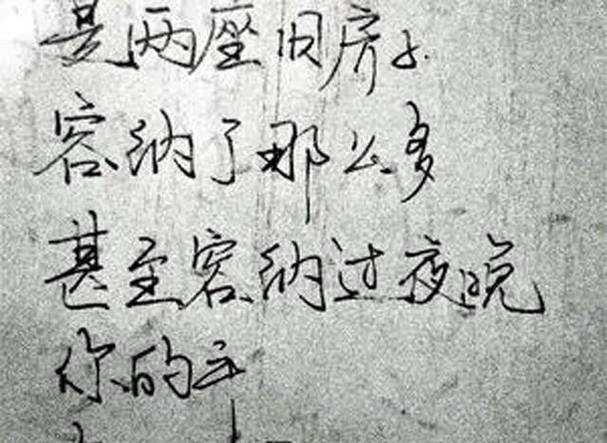 海子名言名句,哪些诗句藏着生命最深的答案?-图3 海子名言名句,哪些诗句藏着生命最深的答案?-图3