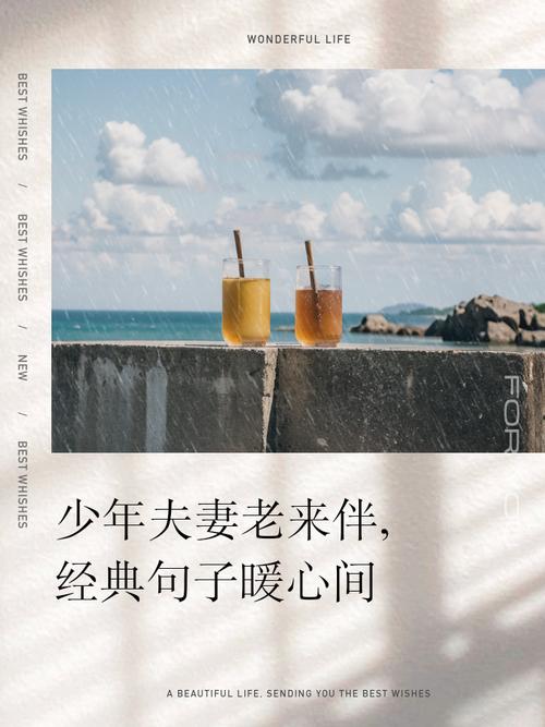 老伴诗歌,是岁月的情书还是生活的注脚?-图3 老伴诗歌,是岁月的情书还是生活的注脚?-图3