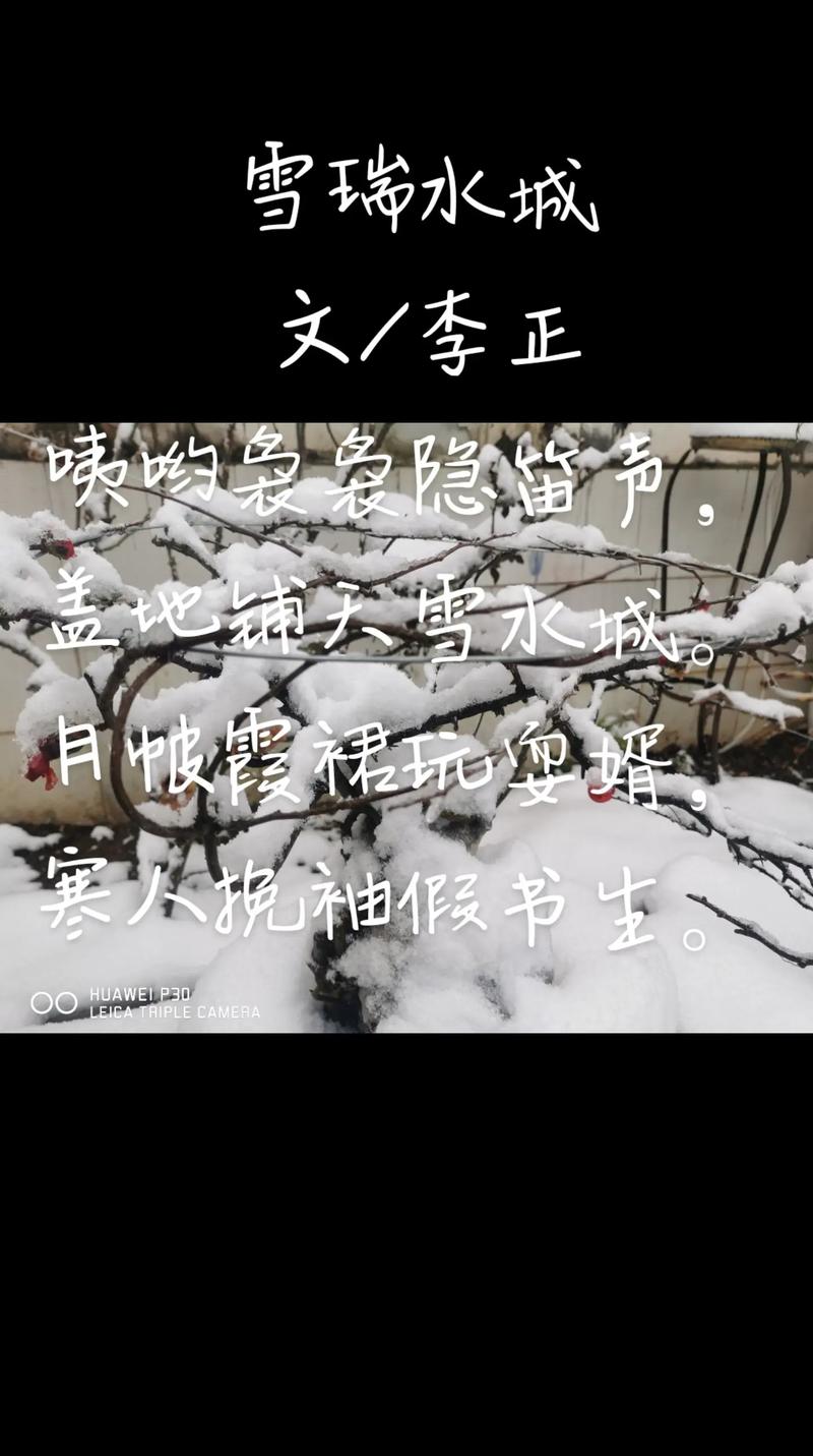 雪人为何在春天流泪?-图2 雪人为何在春天流泪?-图2