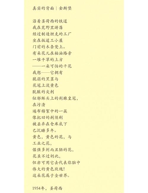 金迪诗歌-图2 金迪诗歌-图2