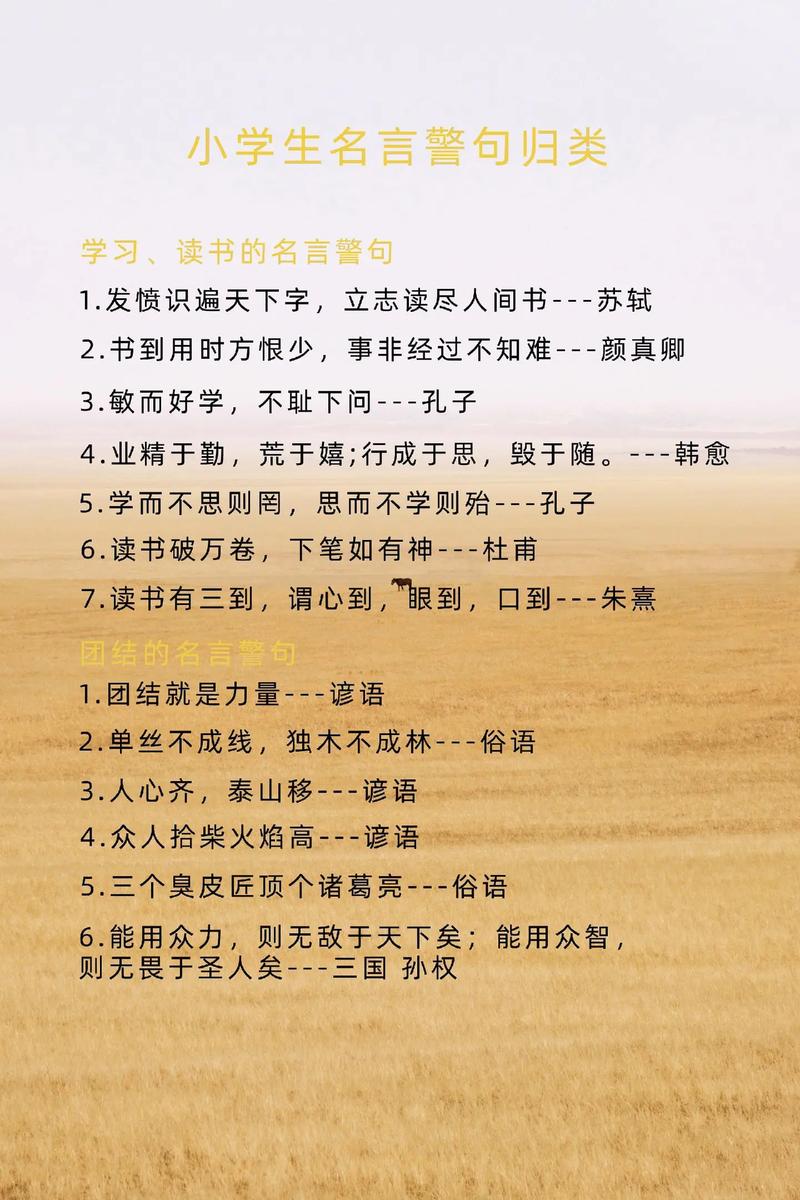 如何用赏识名言点燃学生成长内驱力？-图3