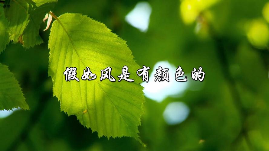 风若有色,会是何模样?-图2 风若有色,会是何模样?-图2