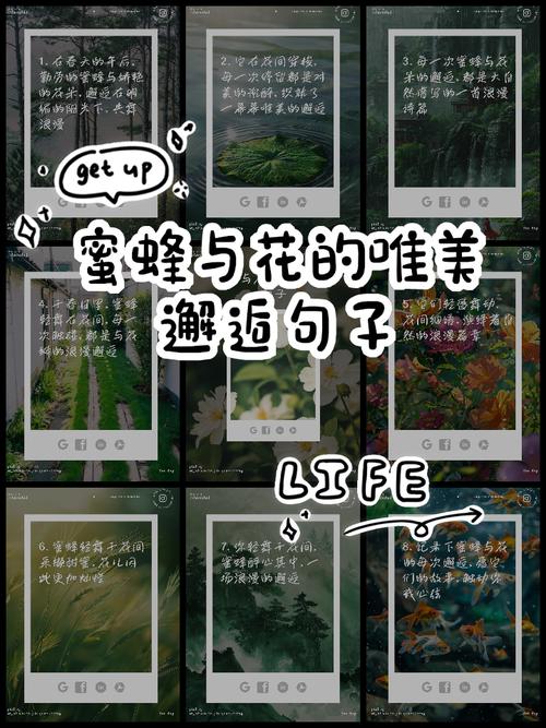 邂逅的名言,邂逅的名言名句-图3 邂逅的名言,邂逅的名言名句-图3