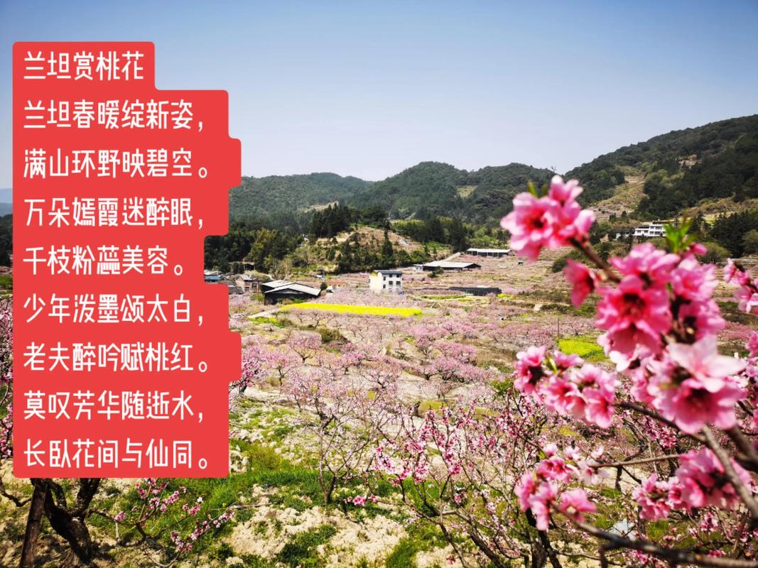 百花山诗歌,百花山的小诗-图2 百花山诗歌,百花山的小诗-图2