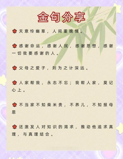 关于人群名言，关于人群名言有哪些-图3