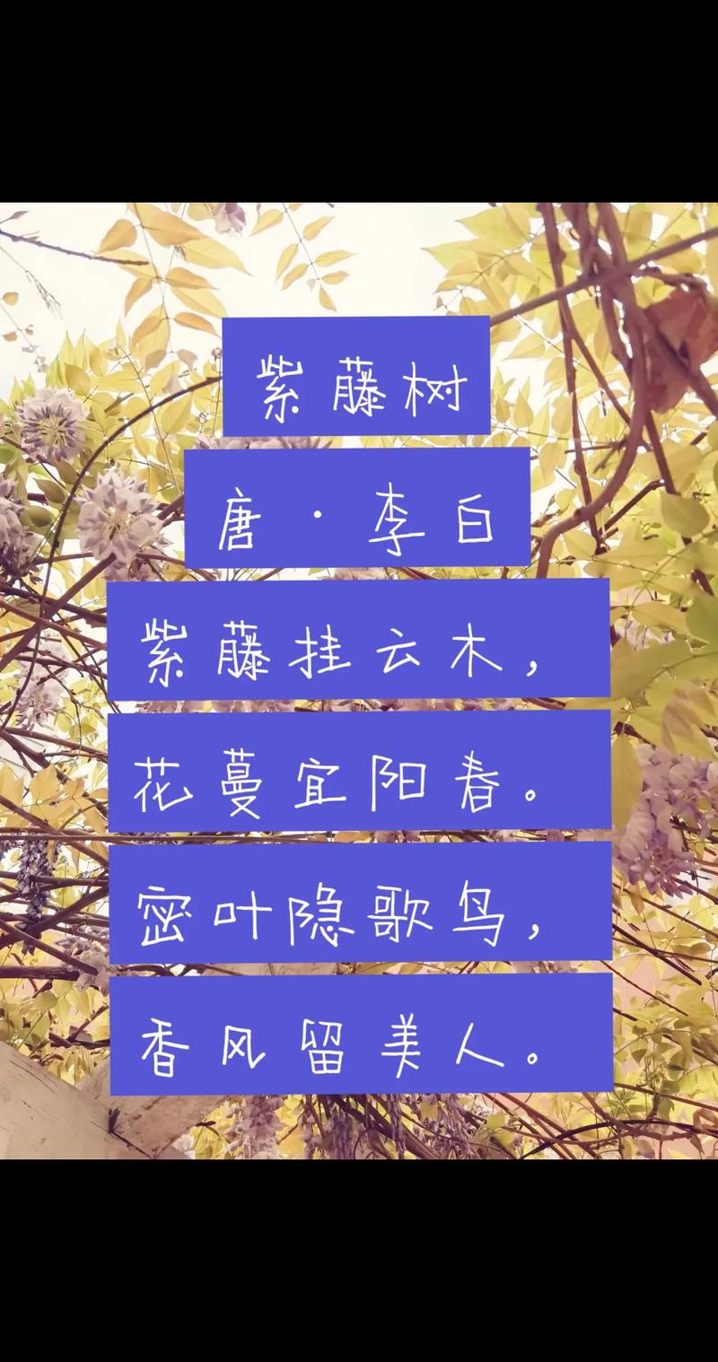 中国风的诗歌,中国风的诗歌有哪些-图3 中国风的诗歌,中国风的诗歌有哪些-图3