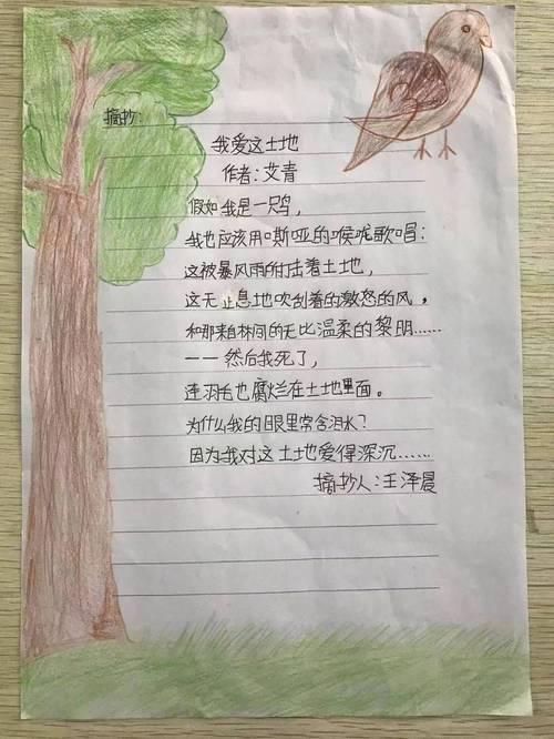 诗歌我的土地，我的土地现代诗-图2