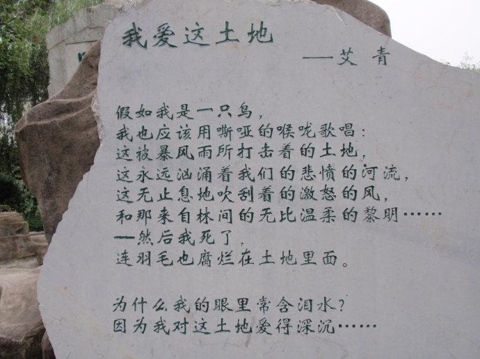 诗歌我的土地，我的土地现代诗-图3