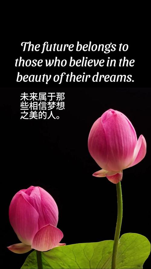 梦想的英语名言,梦想的英语名言名句-图1 梦想的英语名言,梦想的英语名言名句-图1