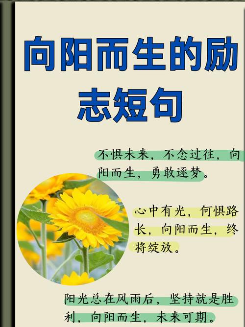 阳的名言,关于太阳的名言-图1 阳的名言,关于太阳的名言-图1