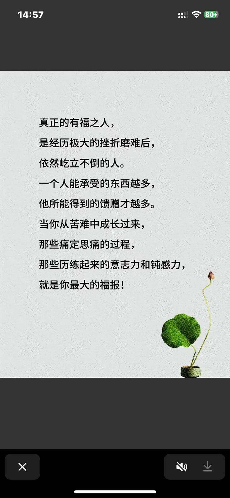 经过磨难后成功的名言，经过磨难后成功的名言名句-图1