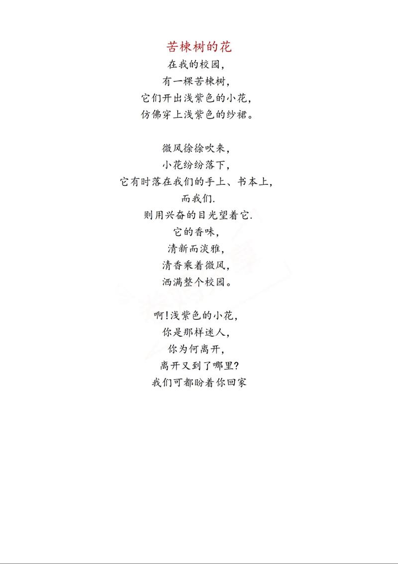 诗歌白桦树，诗歌 白桦-图2