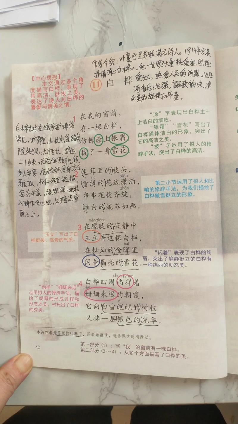 诗歌白桦树，诗歌 白桦-图3