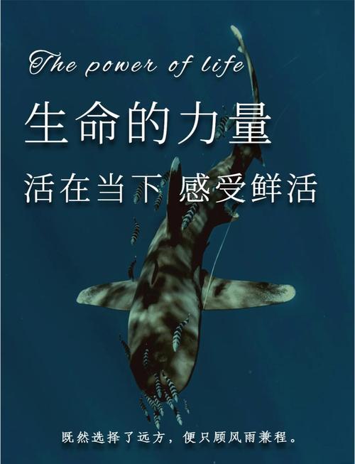 写热爱生命的名言警句,写热爱生命的名言警句有哪些-图2 写热爱生命的名言警句,写热爱生命的名言警句有哪些-图2