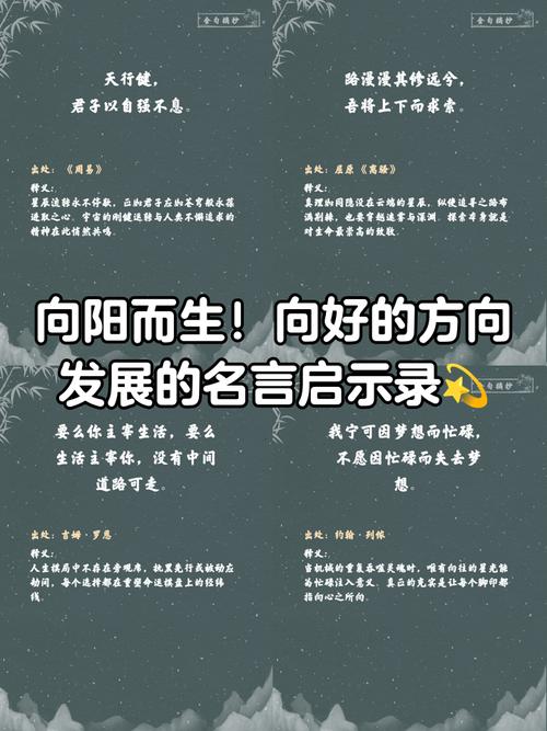 关于确立方向的名言，关于确立方向的名言警句-图2