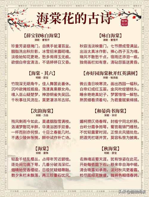 棠诗歌-图1 棠诗歌-图1