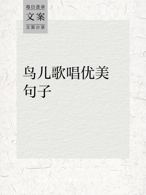 诗歌小鸟的歌，诗歌小鸟的歌曲有哪些-图1