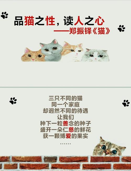 有关猫的诗歌，有关猫的诗歌有哪些-图2