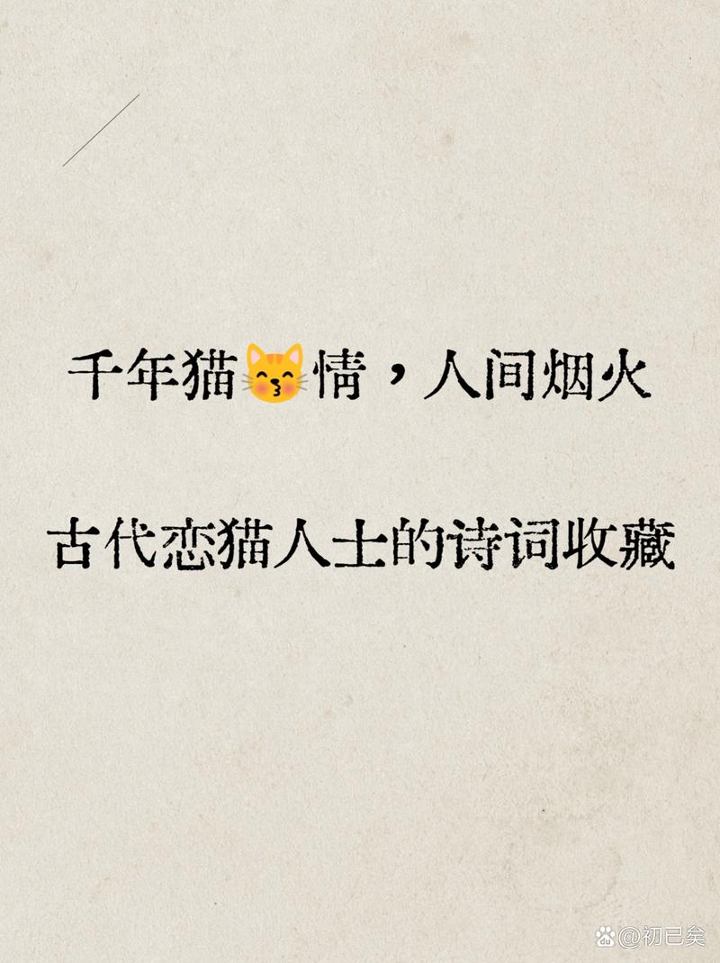 有关猫的诗歌，有关猫的诗歌有哪些-图3