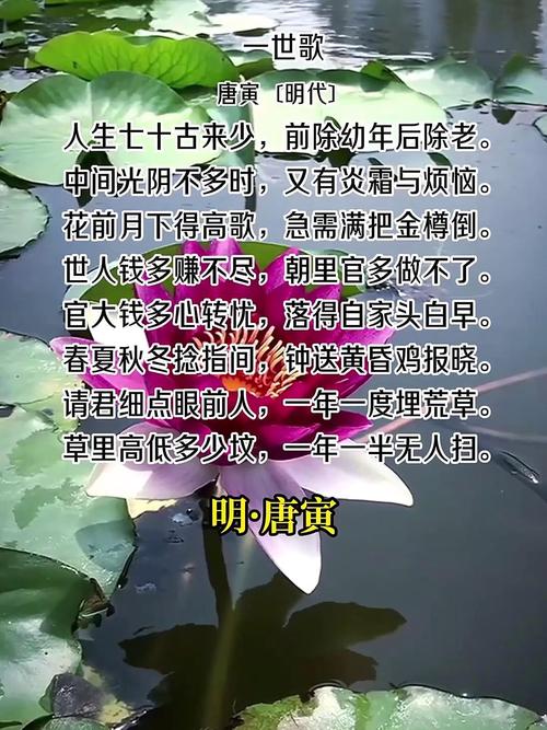 一生一世 诗歌，一生一世诗歌原唱-图2