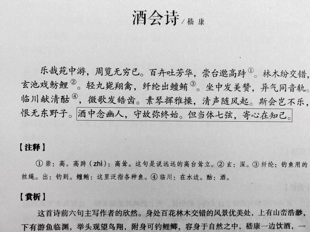 嵇康 诗歌，嵇康诗歌的艺术风格-图1