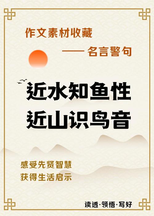 实践名言中,为何行动常被强调重于思辨?-图1 实践名言中,为何行动常被强调重于思辨?-图1