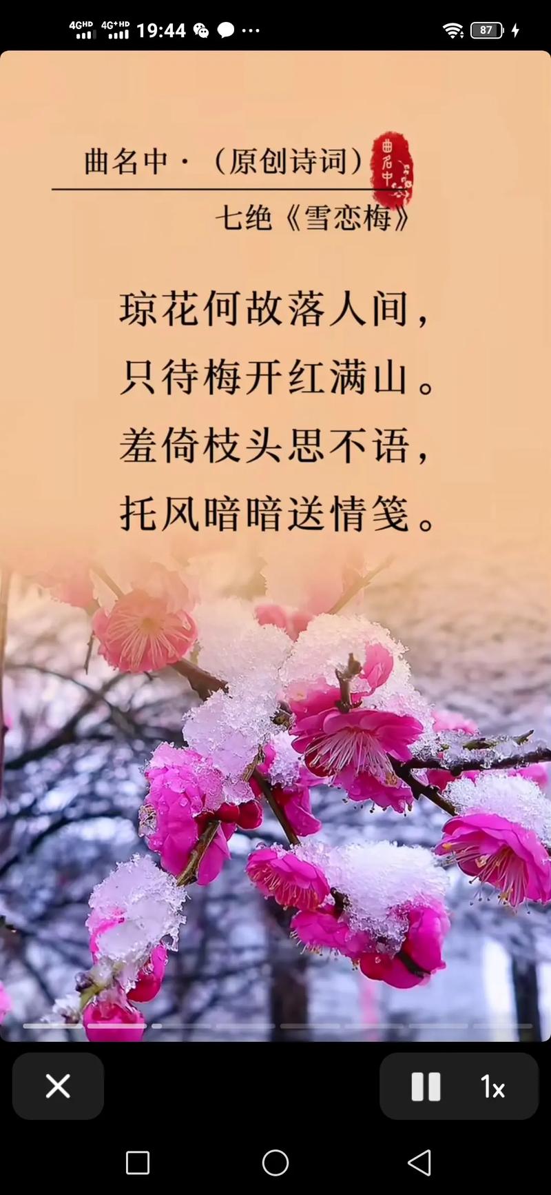 诗歌中梅象征,诗歌中梅象征什么-图3 诗歌中梅象征,诗歌中梅象征什么-图3