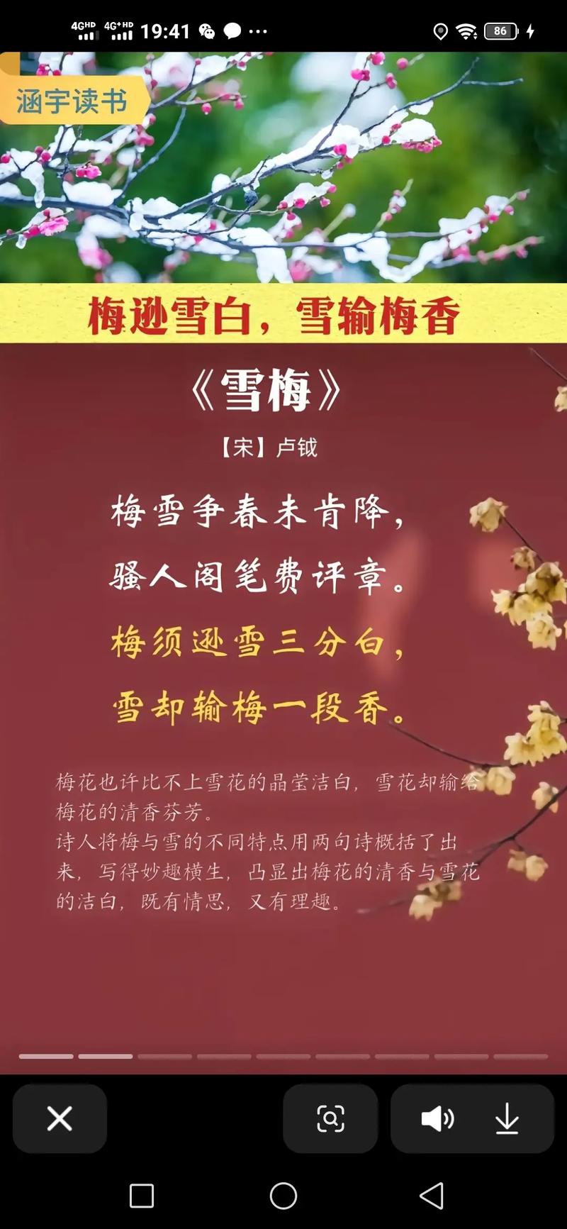 诗歌中梅象征,诗歌中梅象征什么-图2 诗歌中梅象征,诗歌中梅象征什么-图2